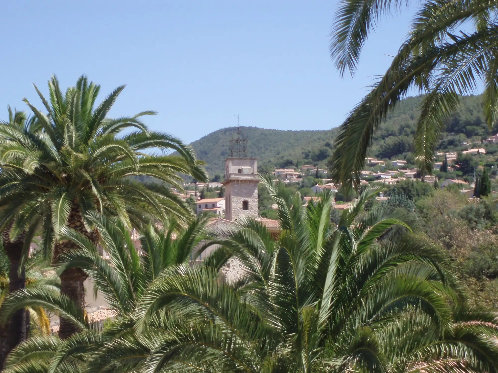 Agence immobilière